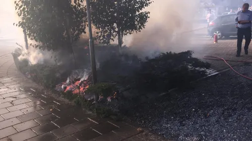 7b18987e 188c 482a bb9f 2e43a8191a0e