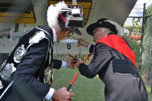 bevestigen van de koningsvogel