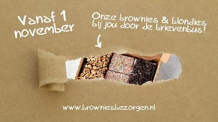 brownies en downies 1