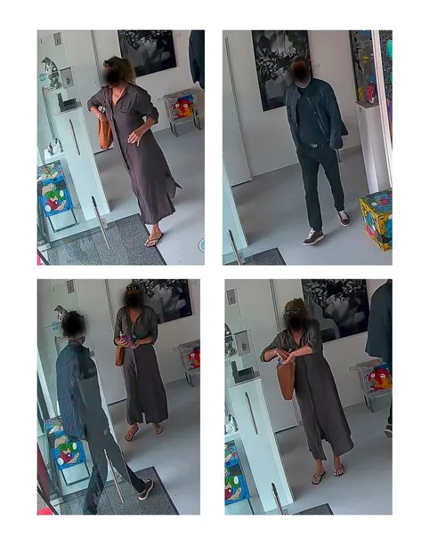 daders diefstal art studio veghel