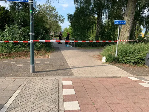 ded4d93a 4885 4bed 89b8 7cd52951c84e