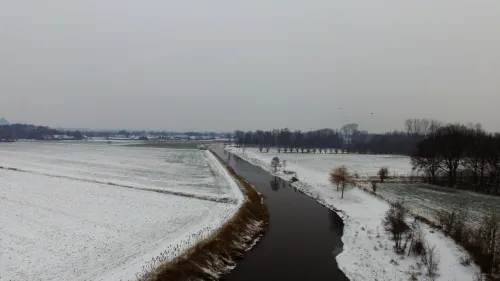 dji 0050
