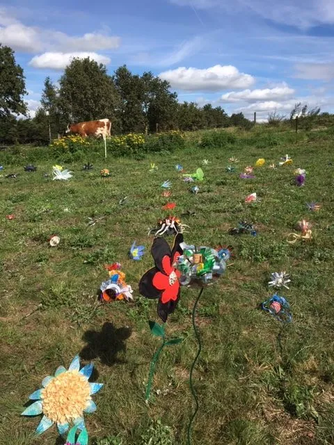 flower power foto 3 e1568389736299