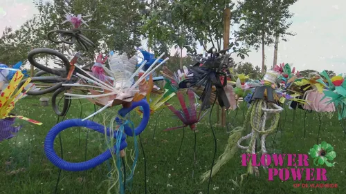 flower power op de vlagheide 2019 01