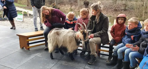 foto kinderen met dieren