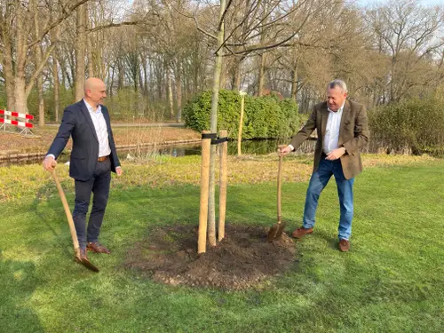 foto liggend planten boom