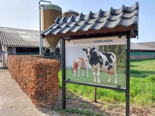 foto melkveebedrijf verbruggen