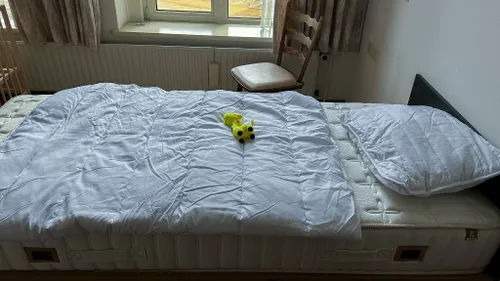img 1394