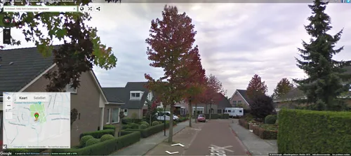 kwikstaart sint oedenrode