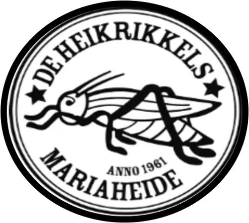 logo pp