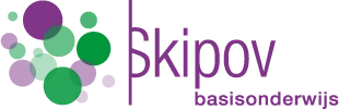 logo skipov