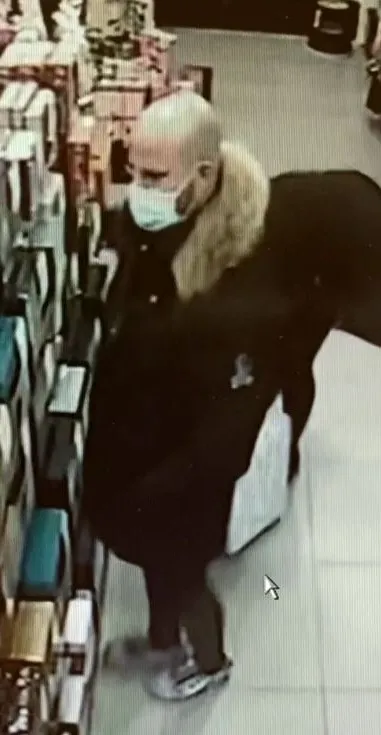 manlijke dader ici paris veghel