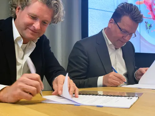 niels bek en koen slippen tekenen