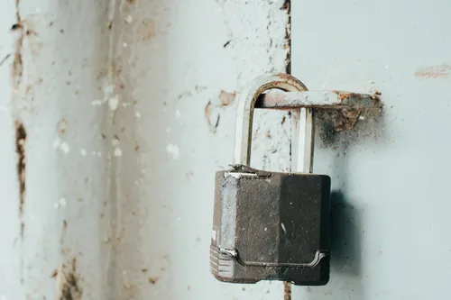 pexels rulo davila 4724367