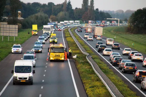 photo 2017 10 16 09 13 53