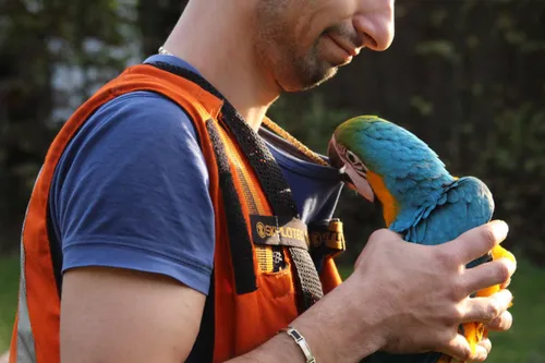 photo 2017 10 16 17 32 56