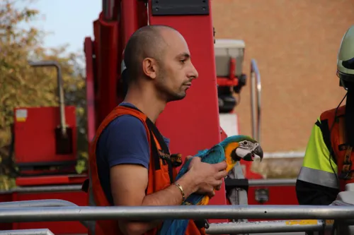 photo 2017 10 16 17 33 02