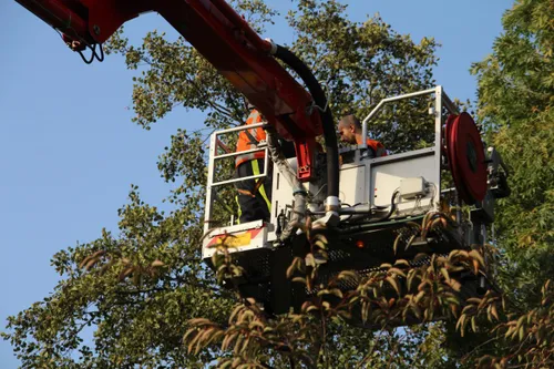 photo 2017 10 16 17 33 16