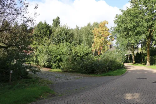 photo 2017 10 31 13 50 52