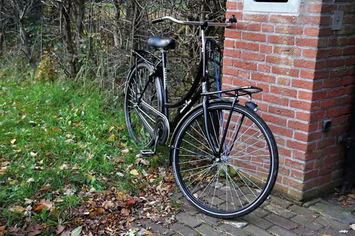 photo 2017 11 23 09 42 21