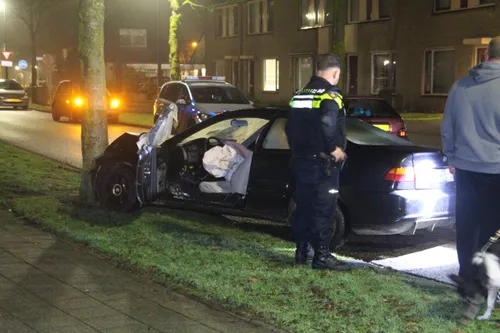 photo 2017 12 19 00 04 24