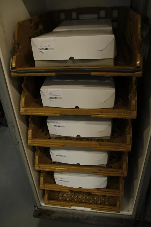 photo 2018 02 03 16 19 04