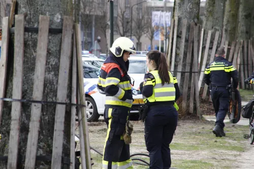 photo 2018 02 04 16 06 20