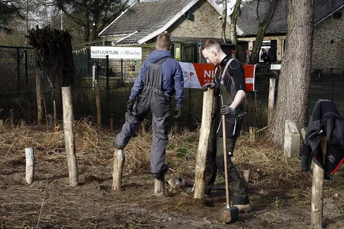 photo 2018 03 09 12 48 47