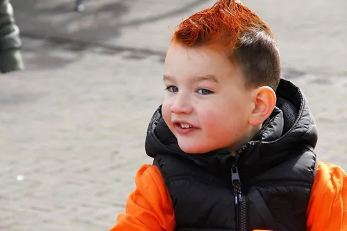 photo 2018 04 27 12 21 24