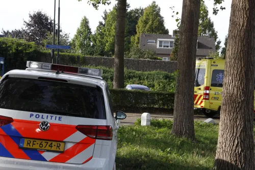 photo 2018 09 16 11 55 52