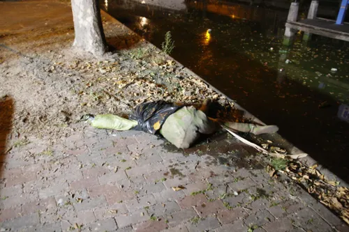 photo 2018 09 20 22 57 32