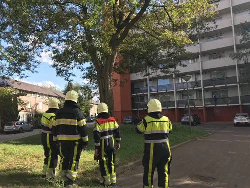 photo 2018 09 21 17 06 23 3