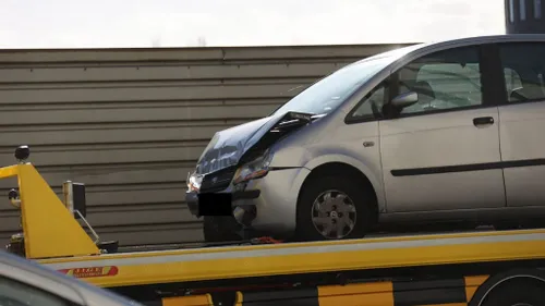 photo 2023 03 27 21 47 30 1