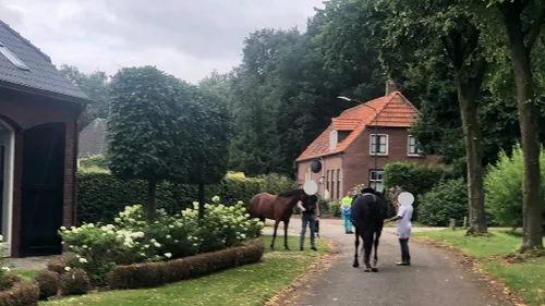 photo 2023 07 30 10 43 55