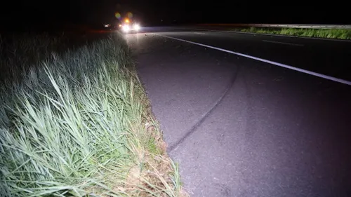 photo 2023 08 14 07 17 42