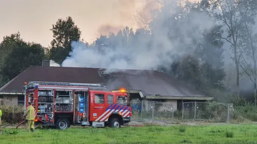 photo 2023 10 08 19 09 52