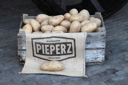 pieperz hzpc