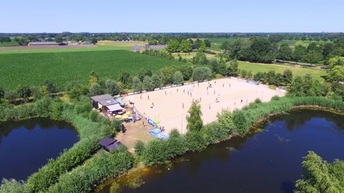 skunk on the beach 02