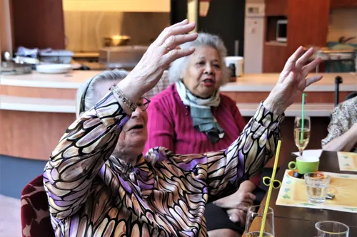 stichting vivendi 007