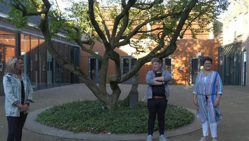 stil in zijtaart 915x518