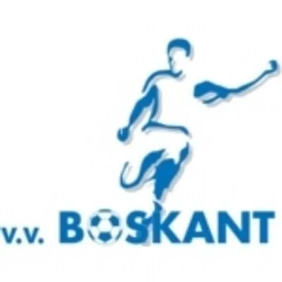 vvboskant logo 400x400