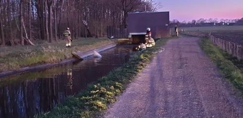 whatsapp image 2020 03 31 at 204358 1