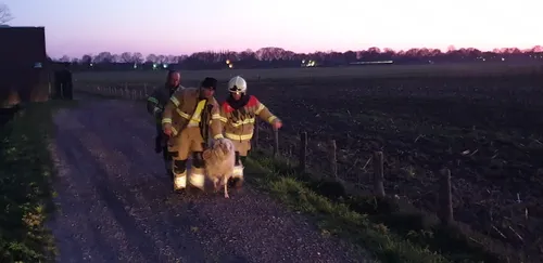 whatsapp image 2020 03 31 at 204400