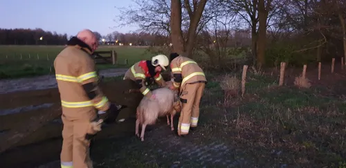 whatsapp image 2020 03 31 at 204402