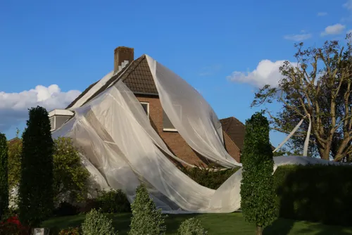 whatsapp image 2020 05 04 at 215740 1