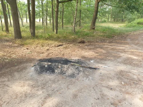 whatsapp image 2020 06 02 at 180146