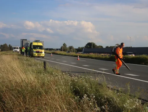 whatsapp image 2020 07 26 at 194246