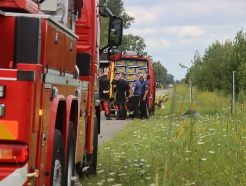 whatsapp image 2020 07 29 at 154826 3