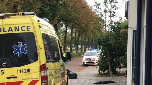 whatsapp image 2022 08 26 at 50908 pm