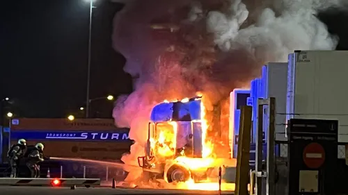 whatsapp image 2022 11 26 at 73821 am